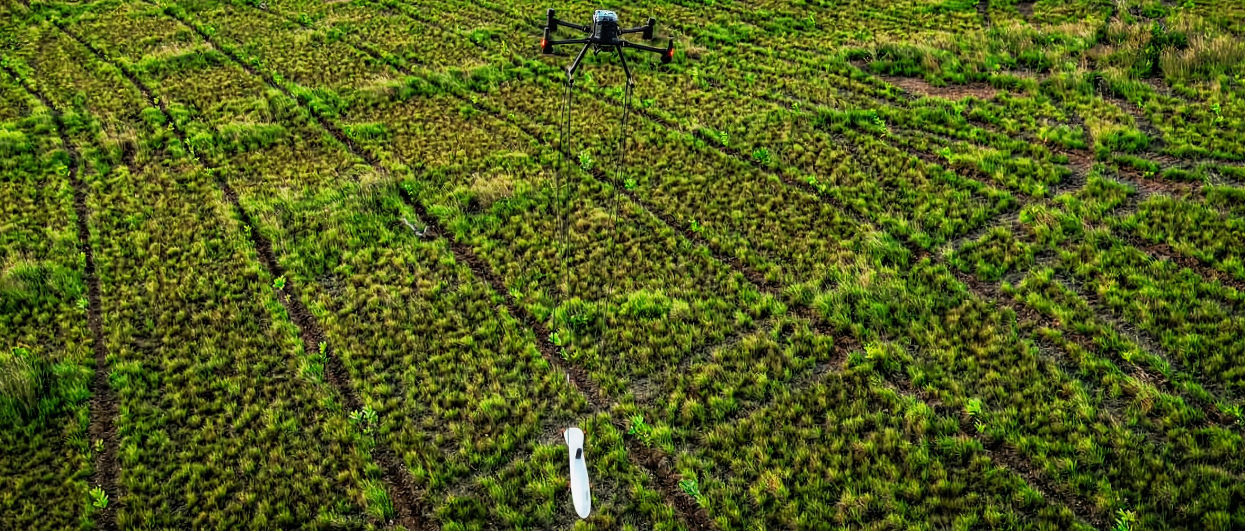 Dron a_reo sobre campo - calidad profesional (5408x2307)